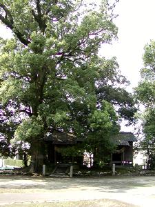 マウスクリックで拡大/縮小します