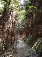 マウスクリックで拡大/縮小します