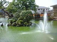 マウスクリックで拡大/縮小します