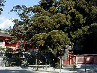 マウスクリックで拡大/縮小します