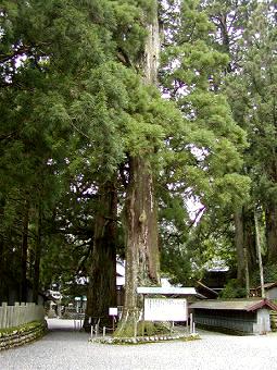 マウスクリックで拡大/縮小します