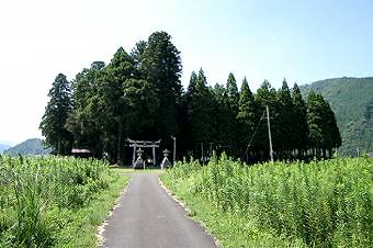 マウスクリックで拡大/縮小します