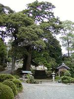 マウスクリックで拡大/縮小します