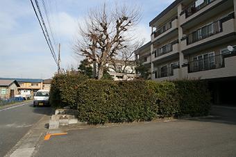 マウスクリックで拡大/縮小します