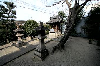 マウスクリックで拡大/縮小します