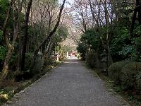 マウスクリックで拡大/縮小します