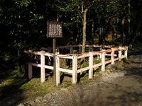 マウスクリックで拡大/縮小します