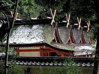 マウスクリックで拡大/縮小します