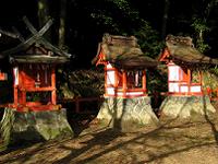 マウスクリックで拡大/縮小します