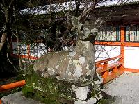 マウスクリックで拡大/縮小します