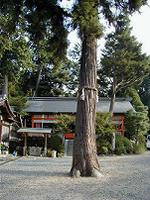 マウスクリックで拡大/縮小します