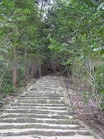 マウスクリックで拡大/縮小します