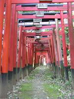 マウスクリックで拡大/縮小します