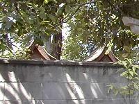 マウスクリックで拡大/縮小します